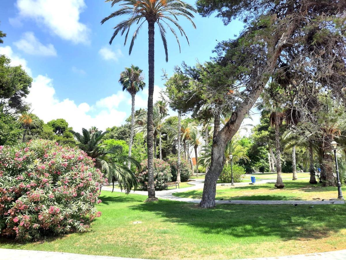 Sinforosa Park Apartments Torrevieja Esterno foto